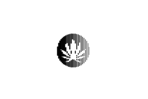 Logo Design by designA78 for davison | Design #22494084