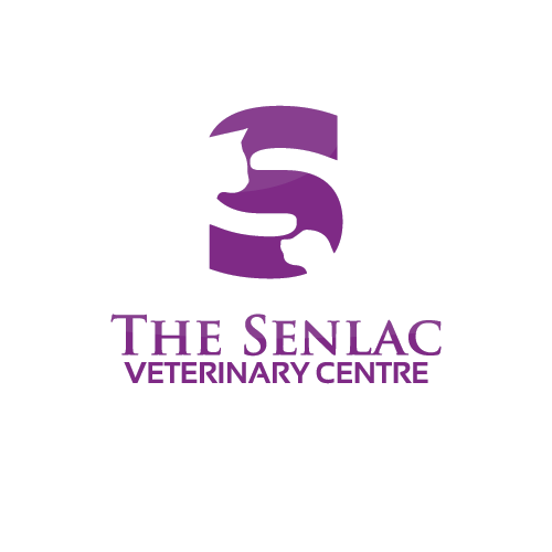 Logo Design by nicolca37 for this project | Design #22534191