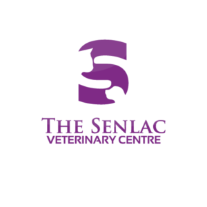 Logo Design by nicolca37 for this project | Design #22534191
