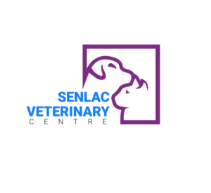 Logo Design by ShinnX