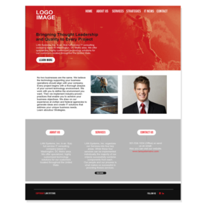Web Design by Ivanbitar for LAN Systems, Inc | Design #22499766