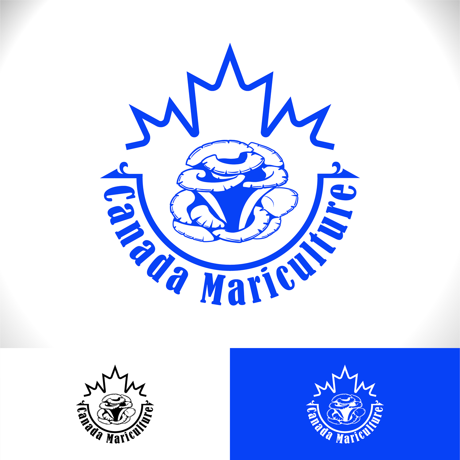 Logo Design by MTu for this project | Design #22501951