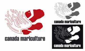 Logo Design by Scaots