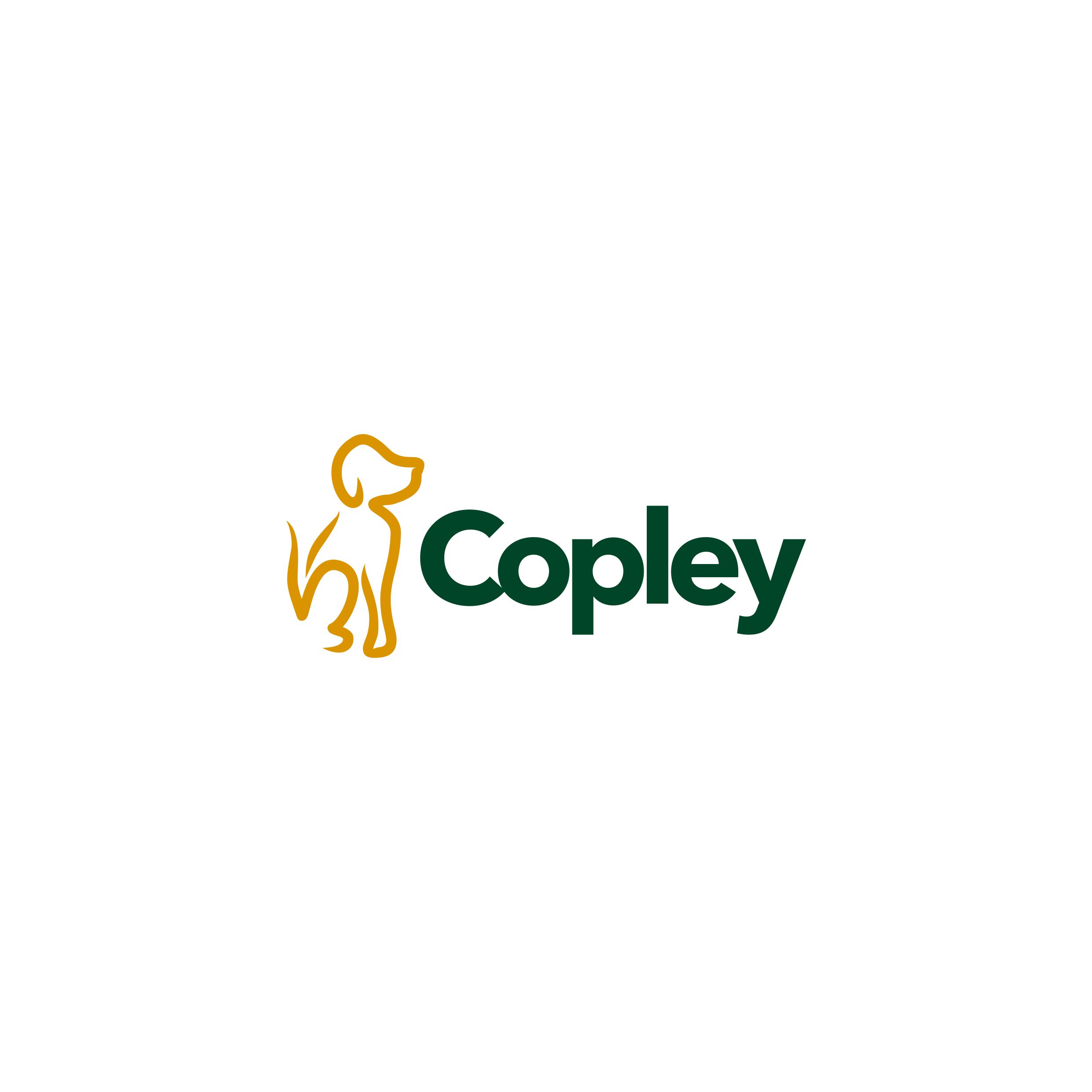 Logo Design by Jeferson HP for this project | Design #22504311