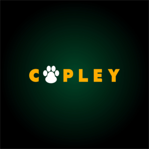 Logo Design by Jeferson HP for this project | Design: #22504314