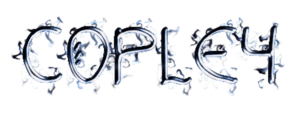 Logo Design by balachnadeem7