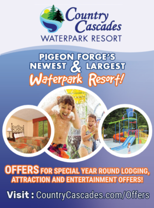 Advertisement Design by uk for Smoky Mountain Resorts | Design: #22513956