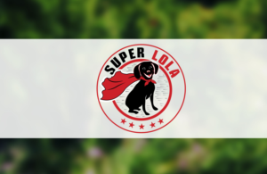 Diseño de Logo por Wonderful design para este proyecto | Diseño: #22519763