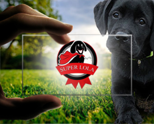 Diseño de Logo por Wonderful design para este proyecto | Diseño: #22526674