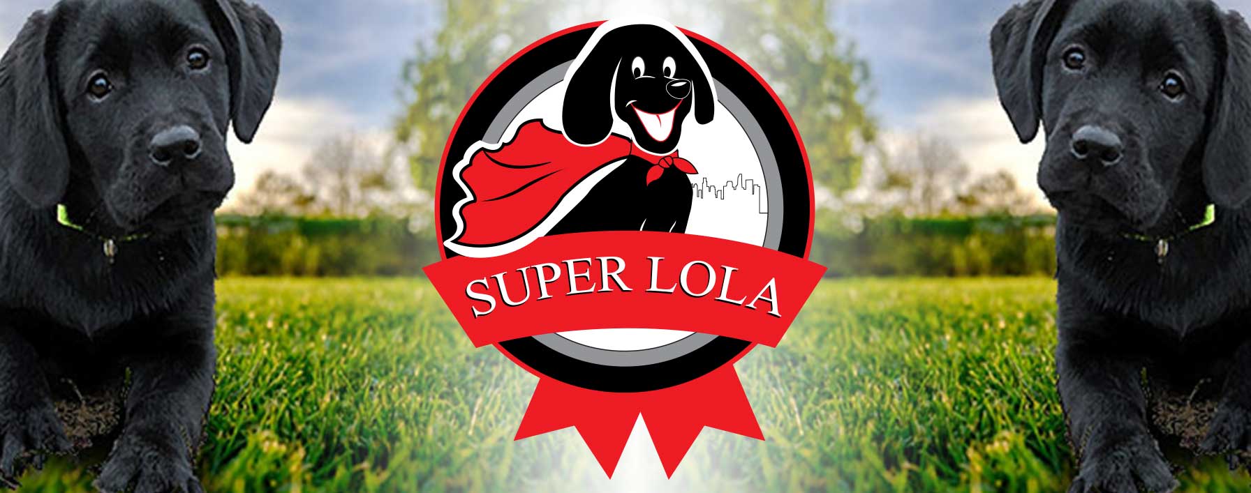 Logo-Design von Wonderful design für dieses Projekt | Design #22526684