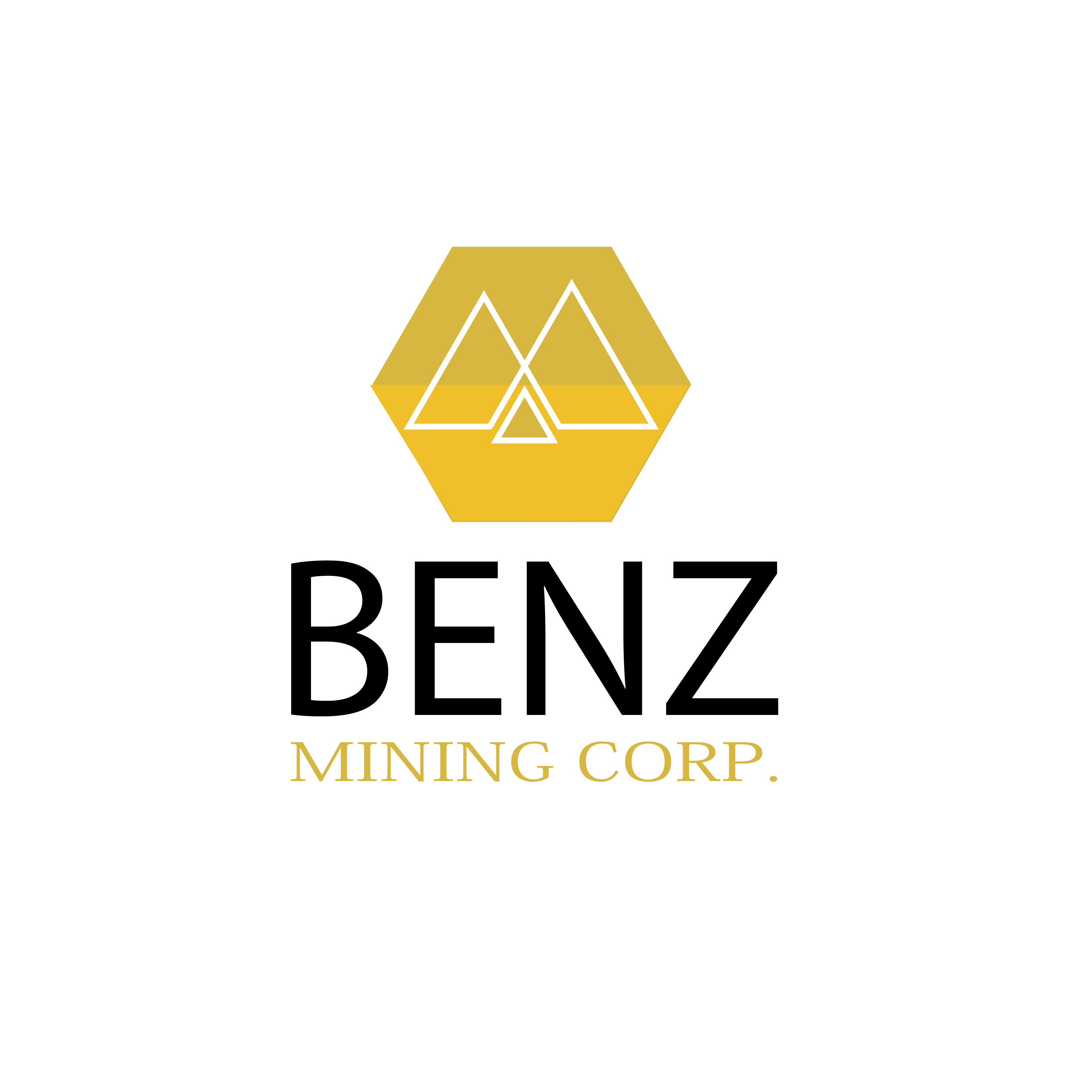 Logo Design by avikas for this project | Design #22532481