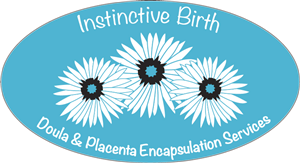 Logo Design by Ziff Designs