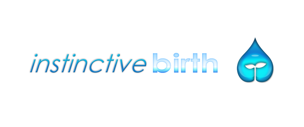 Logo Design by LOC-I-EYE Creative Solutions for this project | Design #839158