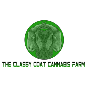 Logo Design by ds_art