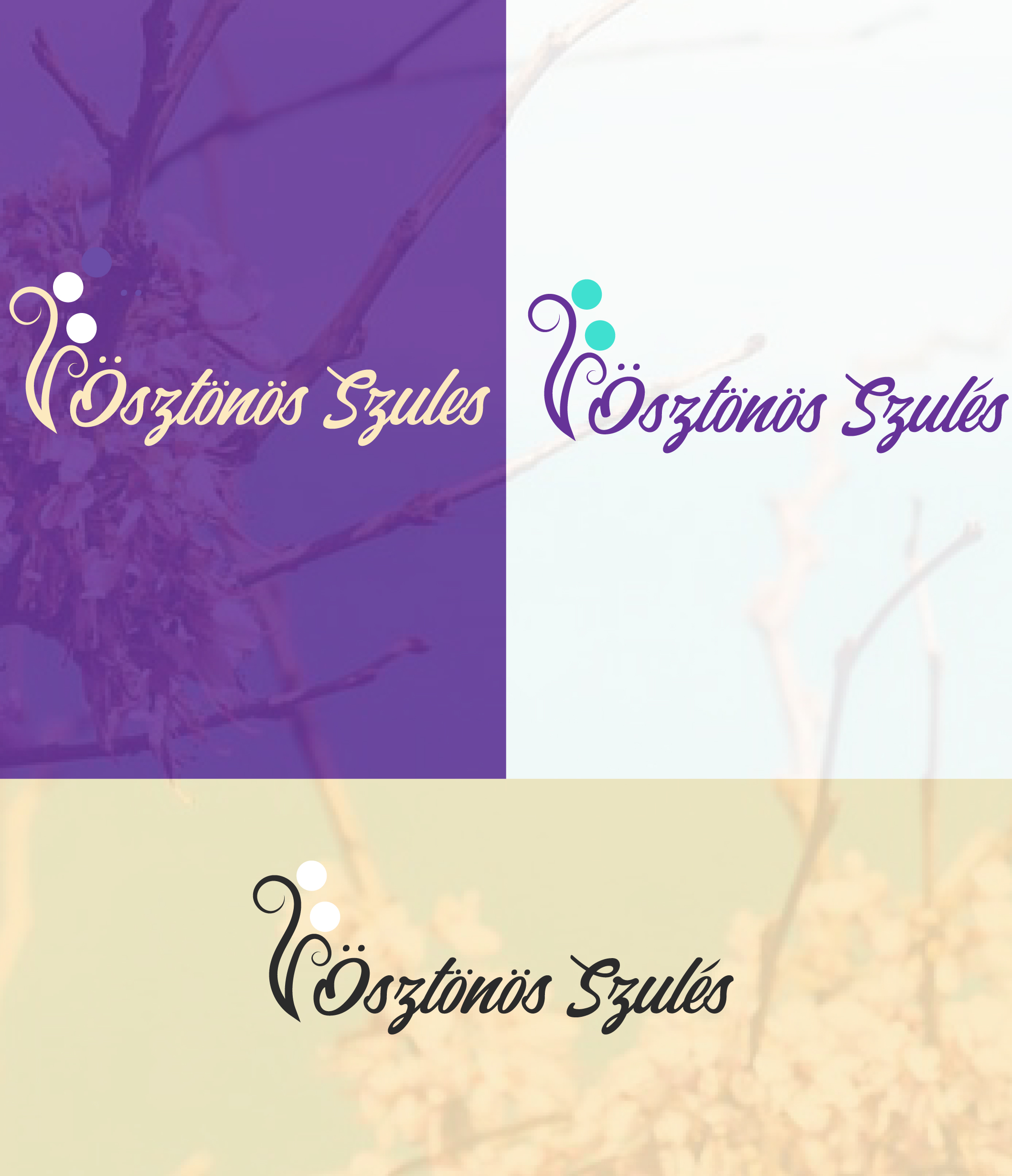 Logo Design by Alpha design for this project | Design #22529071