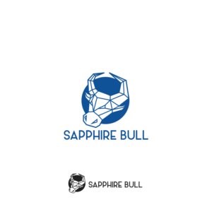 Logo Design by Ayman Solomon