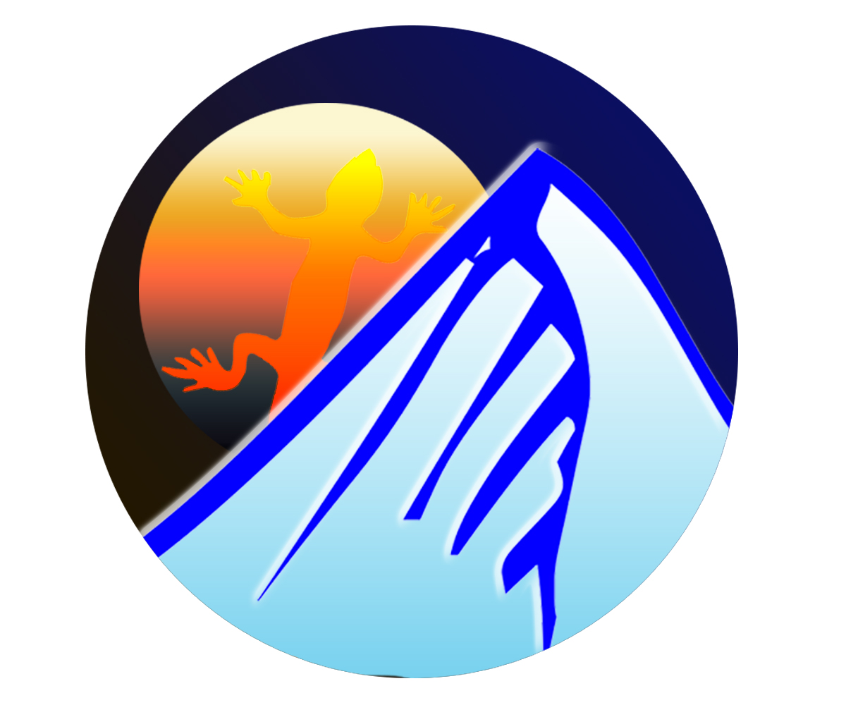 Label Design by Vusomuzi for OpenIP Ltd | Design #2981240