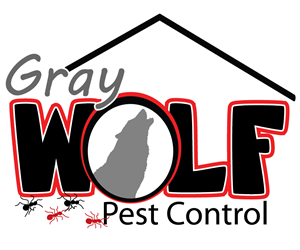 Logo Design by CraftedByStephanie