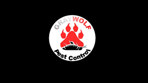 Logo Design by jack_lens