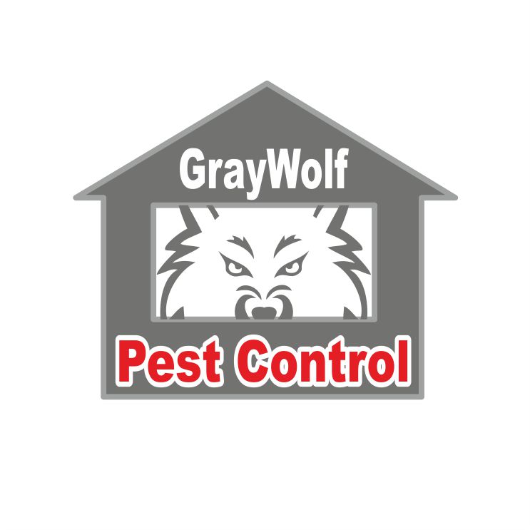 Diseño de Logo por IneseRo para este proyecto | Diseño #3006089