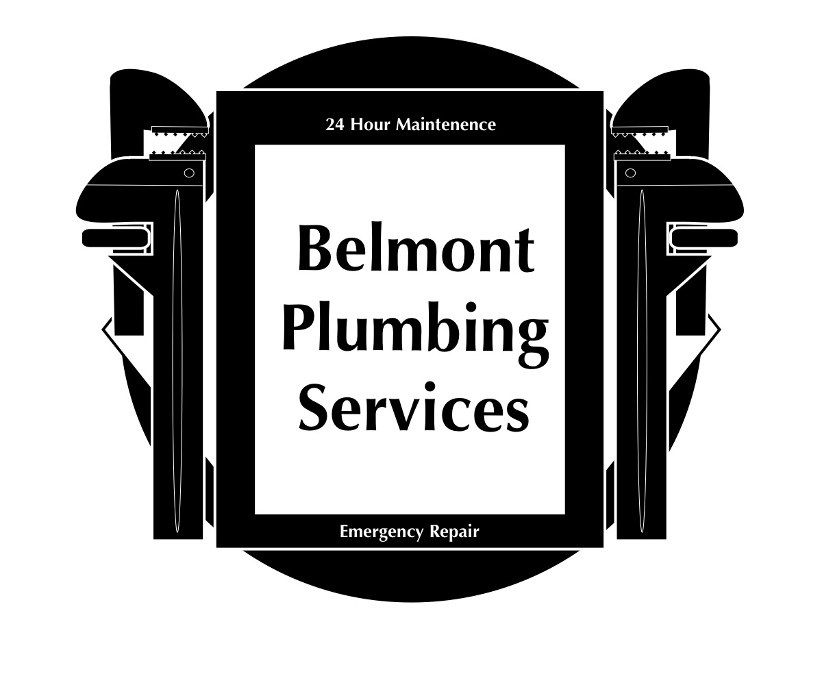 Logo Design by Anthony B for this project | Design #2961821