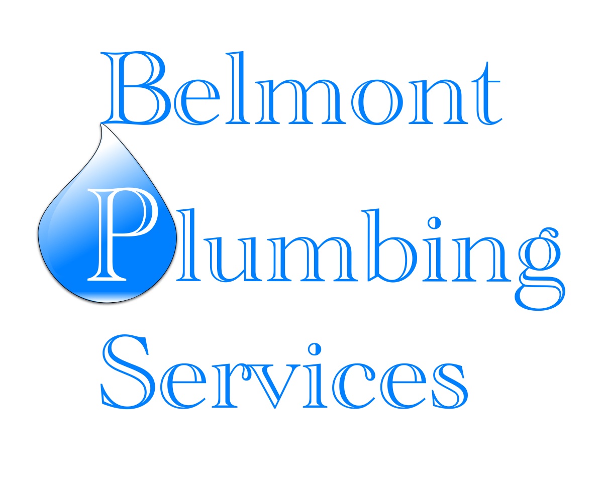 Logo Design by Anthony B for this project | Design #2962875