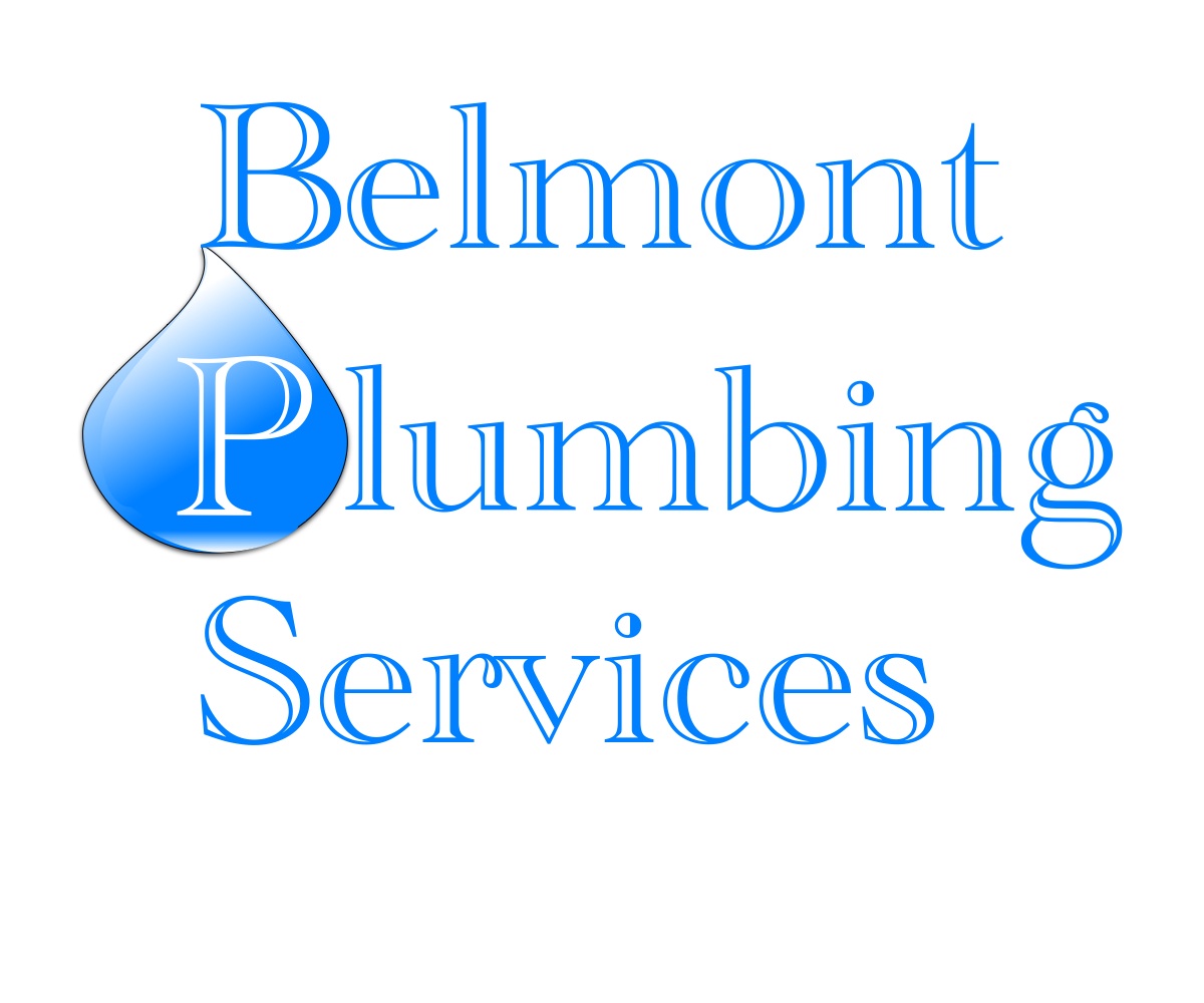 Logo Design by Anthony B for this project | Design #2967727