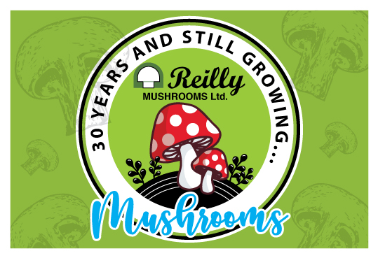 Packaging Design by Eming888 for this project | Design #22577717