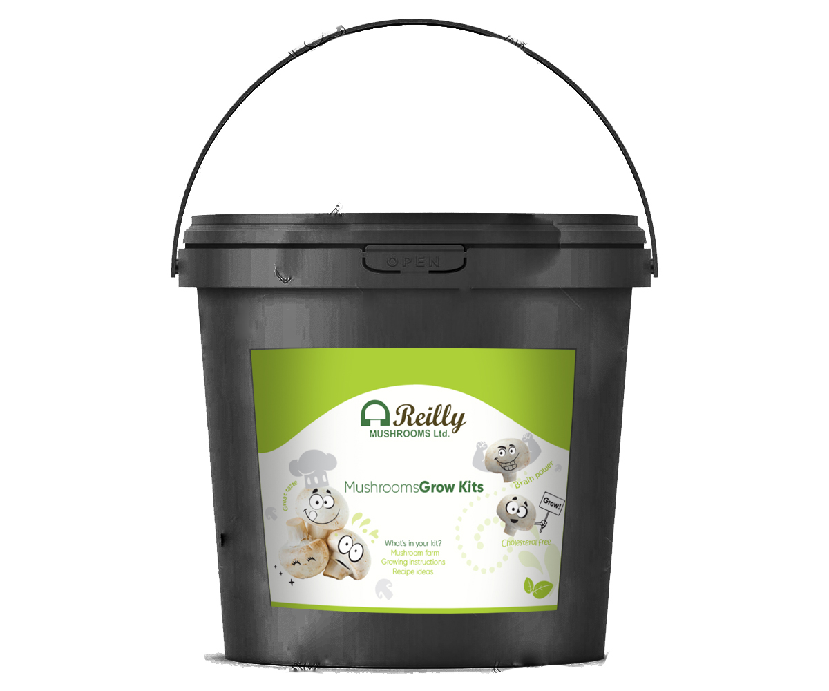 Packaging Design by Hania.tarabishy for this project | Design #22543682