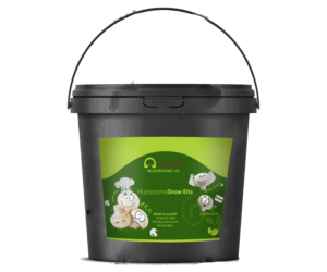 Design Emballage par Hania.tarabishy pour ce projet | Design : #22543689