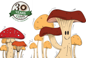 Diseño de Empaque por nariman 2 para este proyecto | Diseño #22538427