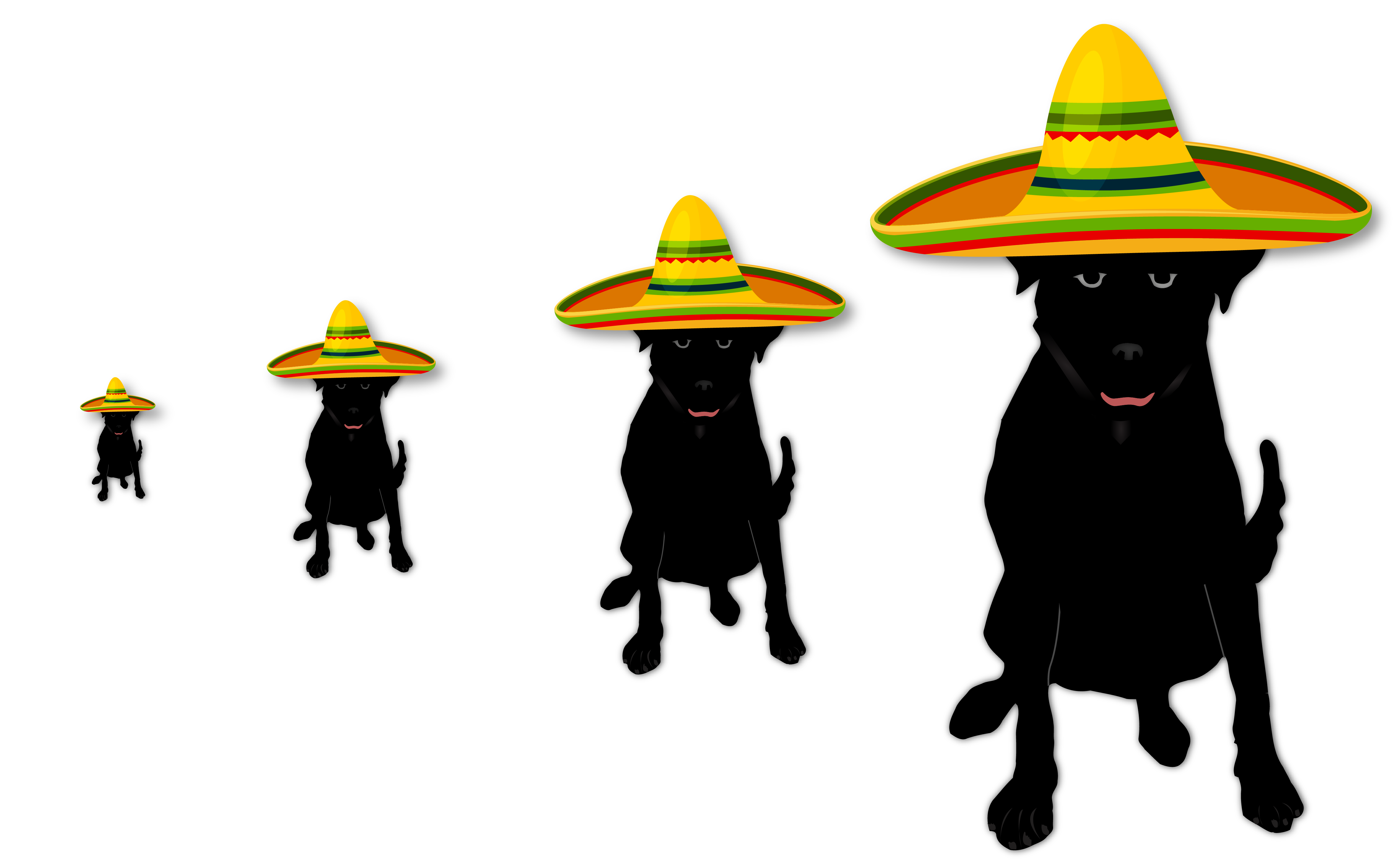 Logo Design by The Seventh Key Magic for this project | Design #22565481