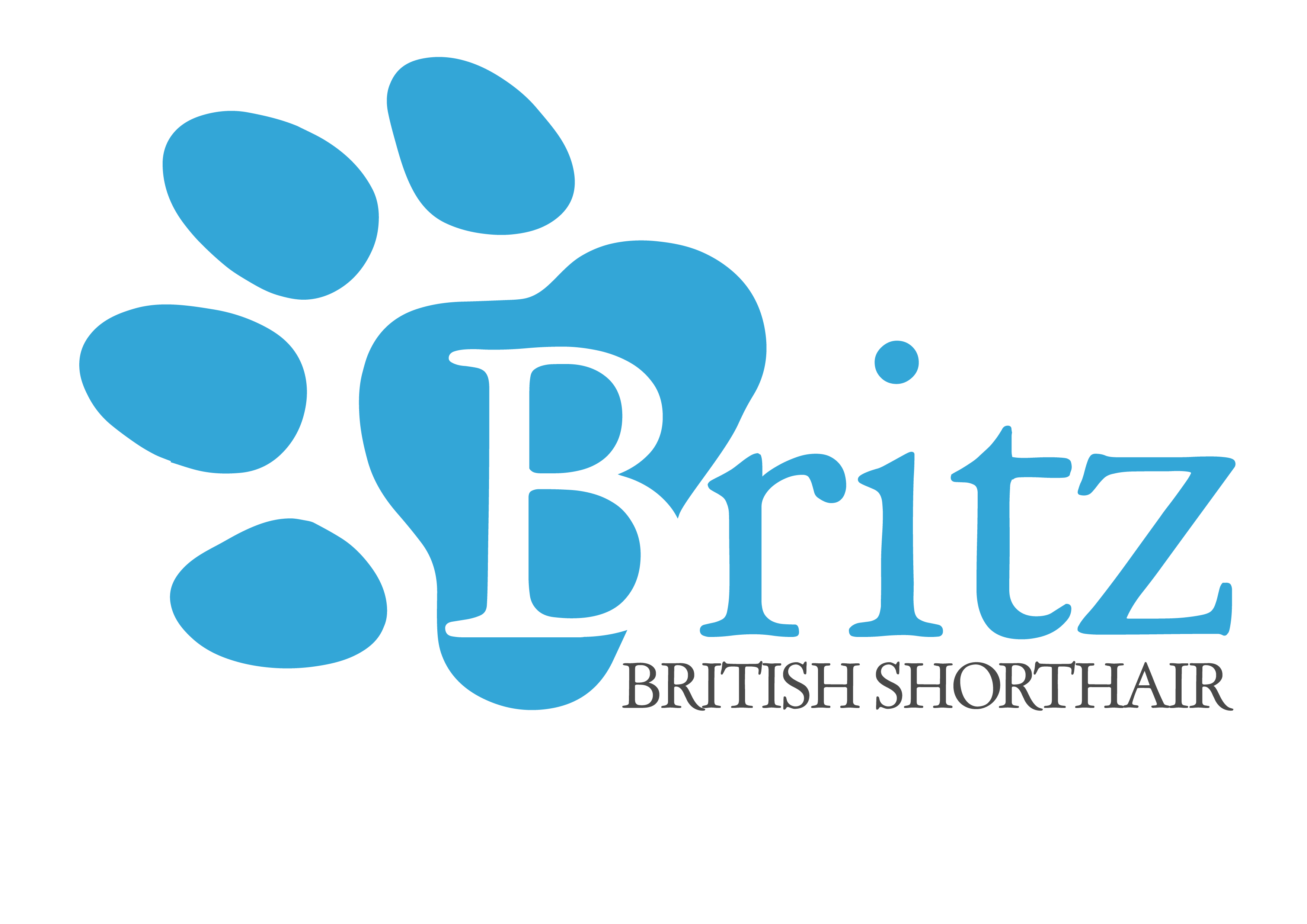 Logo Design by Victor for Britz | Design #22585455