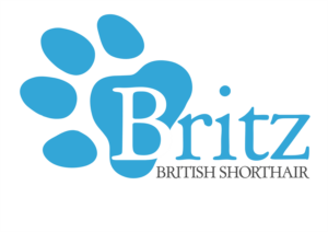 Logo Design by Victor for Britz | Design: #22585455