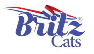 Logo Design by PND for Britz | Design: #22557502