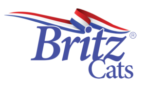 Logo Design by PND for Britz | Design: #22557503