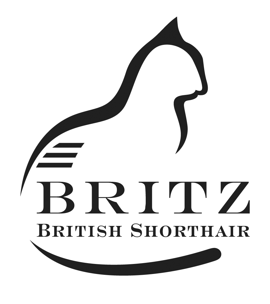 Logo Design by bijuak for Britz | Design #22621623