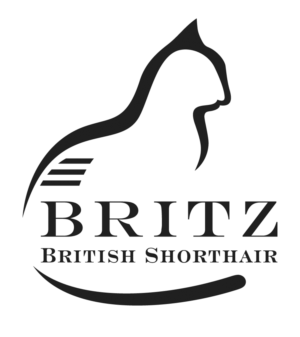 Logo Design by bijuak for Britz | Design: #22621623