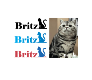 Logo Design by IndreDesign for Britz | Design: #22553749