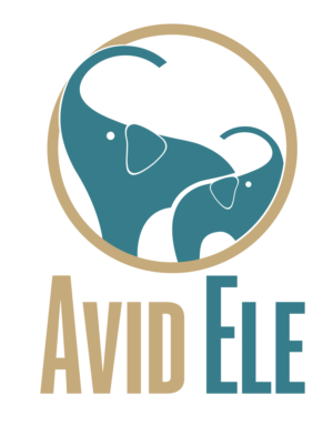 Logo Design by SSPP