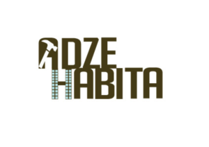 Logo Design by beniwalsuman for CHAVE NOVA Lda | Design #22560803
