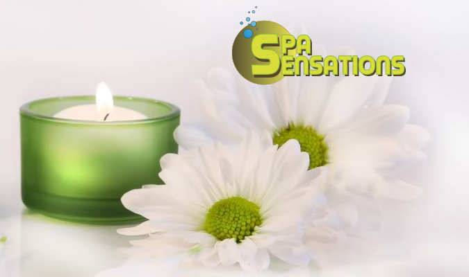 Logo Design by SeXtreme for Ginsey Home Solutions | Design #2979164