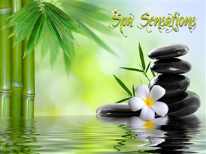 Design de Logo par SeXtreme pour Ginsey Home Solutions | Design : #3009503