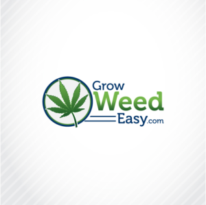 Logo Design by ShakiJav for this project | Design: #22563329