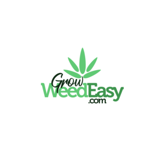 Logo Design by Jeferson HP for this project | Design #22564259