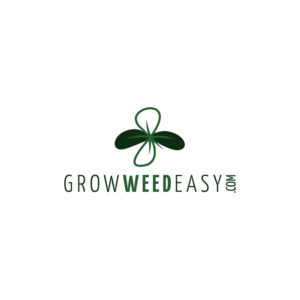 Logo Design by Jeferson HP for this project | Design: #22564260