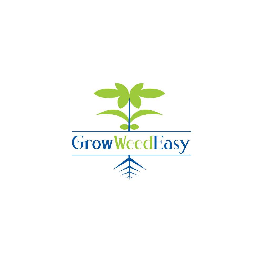 Logo Design by Web Skippers for this project | Design #22582265