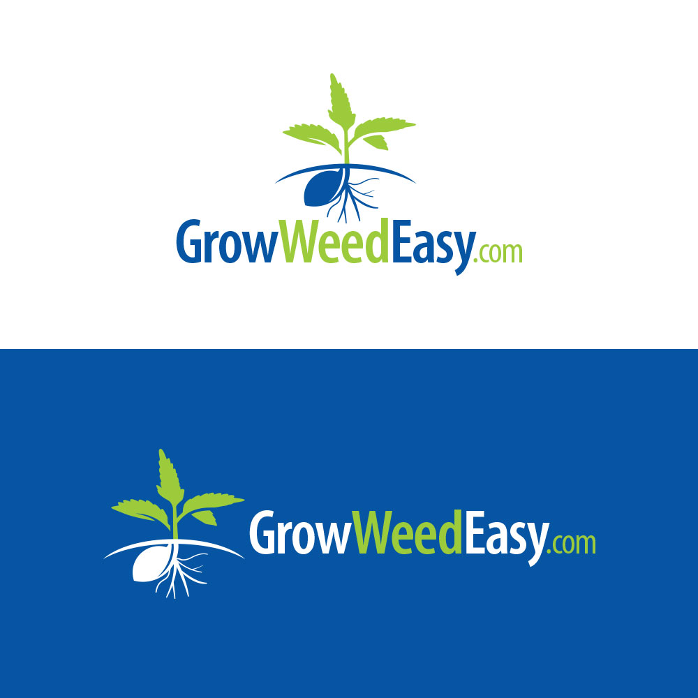 Logo Design by Web Skippers for this project | Design #22582507