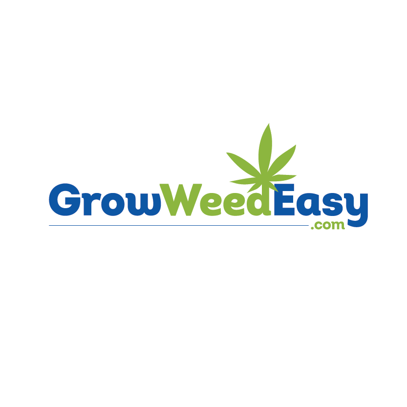 Logo Design by Pv_999 for this project | Design #22580451