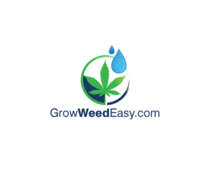 Logo Design by DreamzINSIDE for this project | Design #22566585